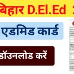 Bihar DELED Dummy Admit Card 2026