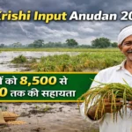 Bihar-Krishi-Input-Anudan-2026